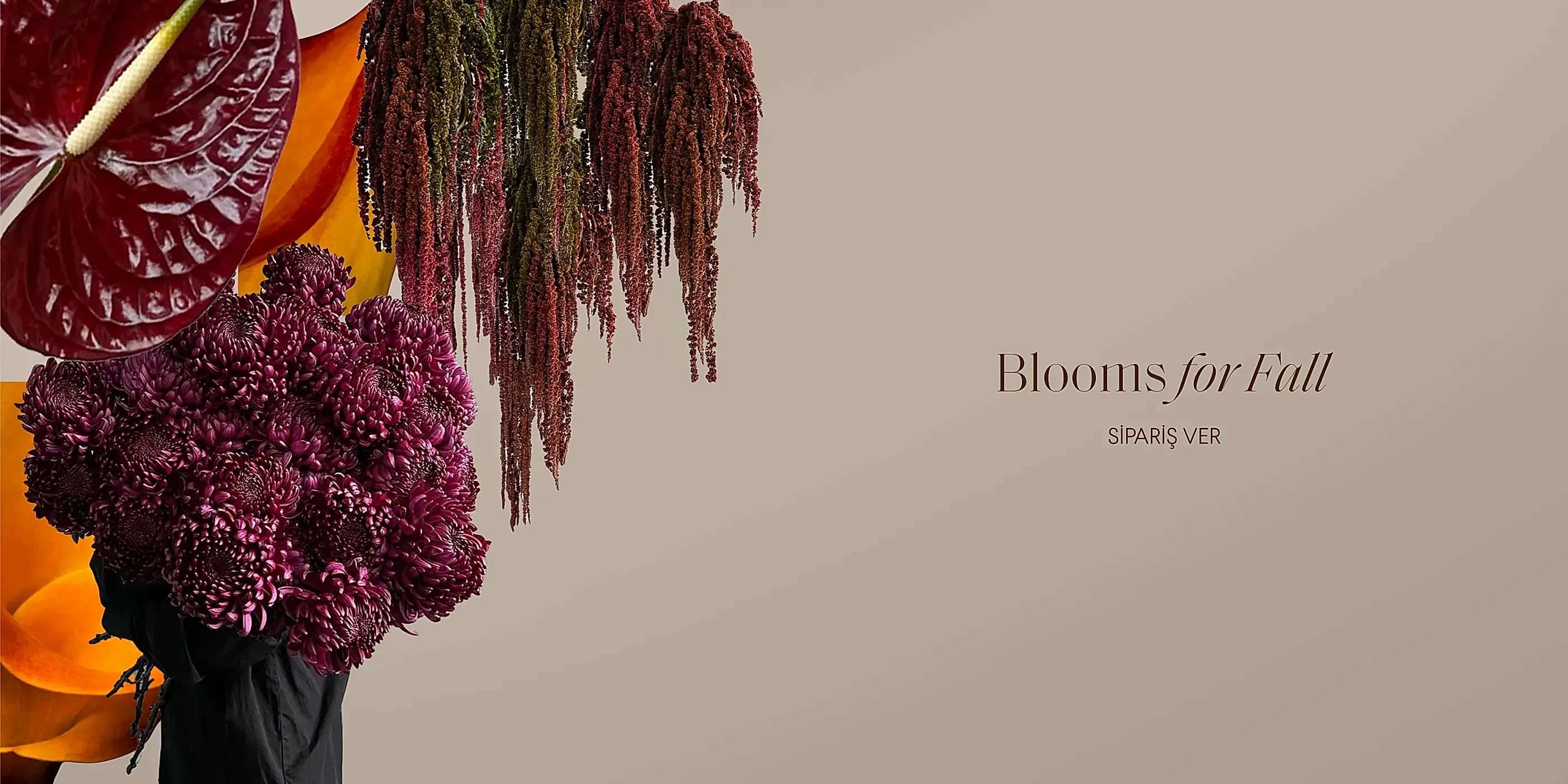 Fall Blooms - Web Banner TR