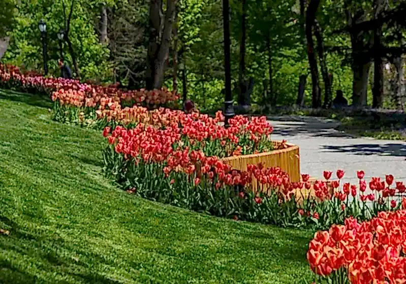 Sarıyer Gezi Rehberi-Sarıyer'de Gezilecek Yerler