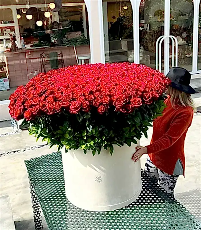 365 Kırmızı Gül The Year of Our Love Royal Deluxe Aranjman