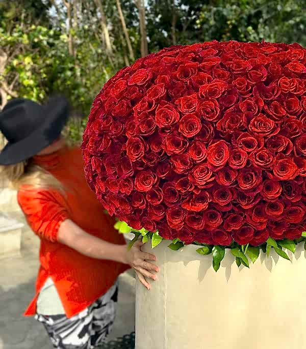 500 Kırmızı Gül Empire Deluxe Kutu Aranjman