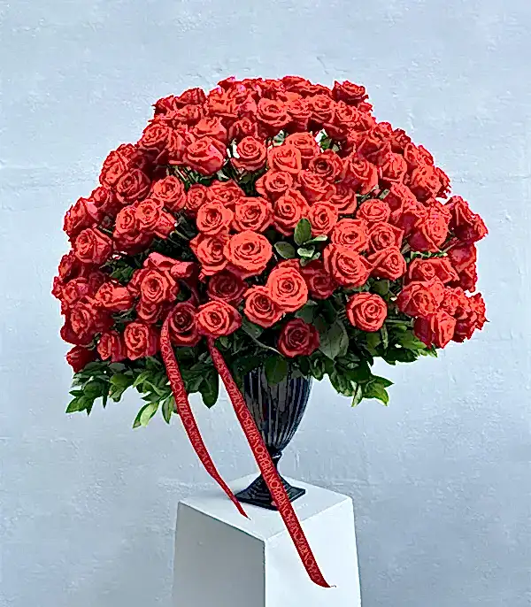 Aphrodite 251 Kırmızı Gül Panoramik Royal Deluxe Aranjman
