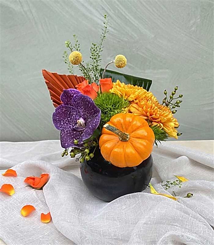Balkabaklı Mini Sonbahar Aranjmanı
