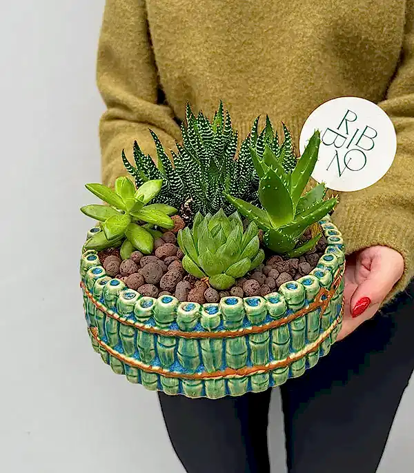 Bambu Seramik Vazoda Sukulent