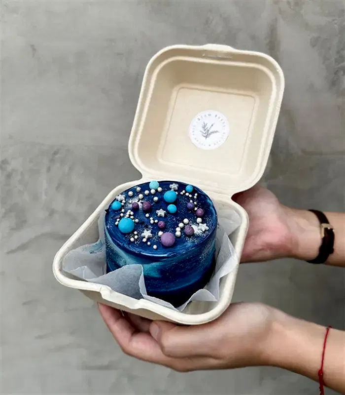 Beam Bakes Galaksi Mini Bento Yaş Pasta