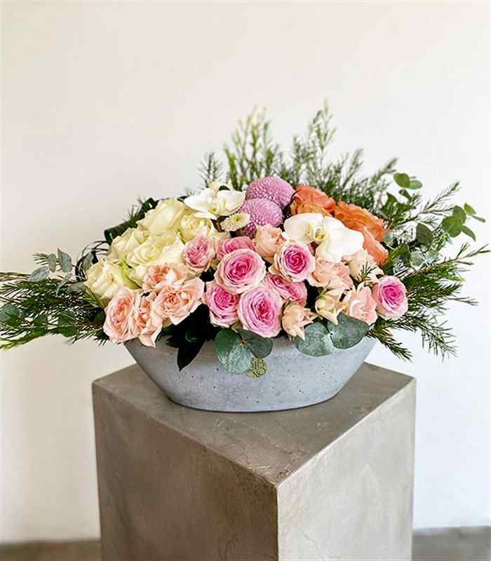 Beton Saksıda Beyaz Somon Aranjman