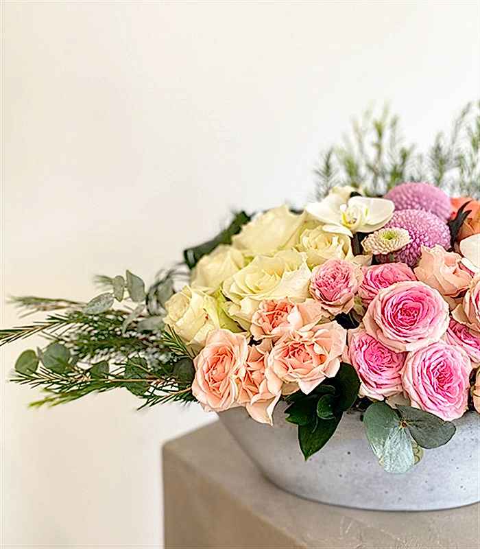 Beton Saksıda Beyaz Somon Aranjman