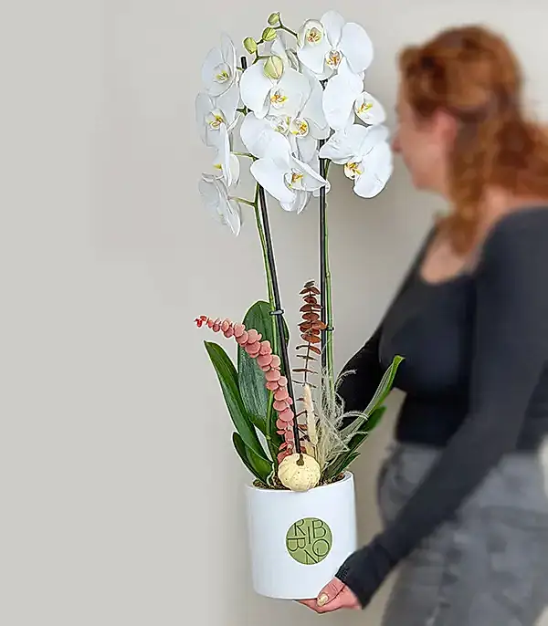 Beyaz Seramik Vazoda Beyaz Sonbahar Orkidesi