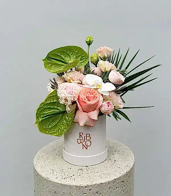 Buds of Verona Krem Mini Kutuda Pastel Çiçekler