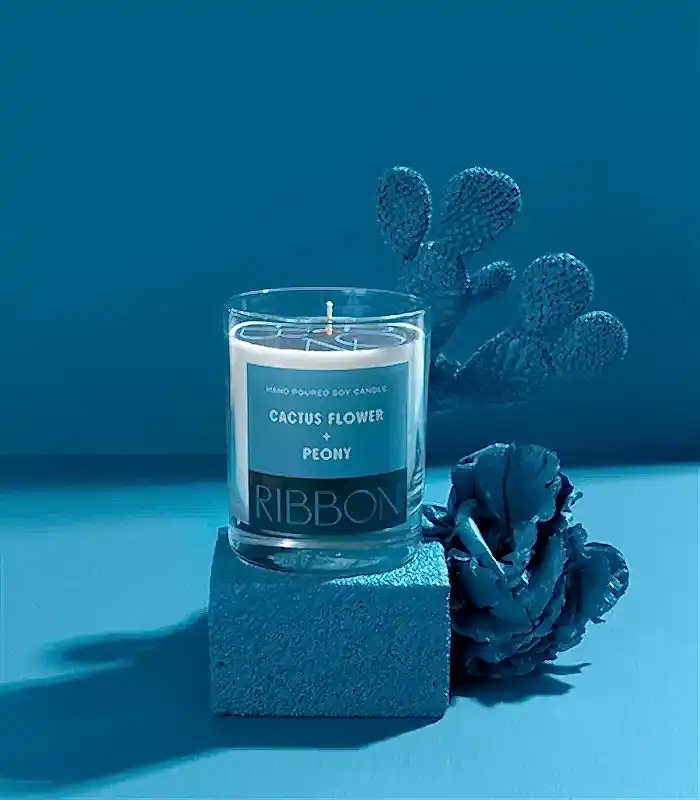 Cactus Flower + Peony Mum Kuru Çiçek Çantalı Hediye Seti