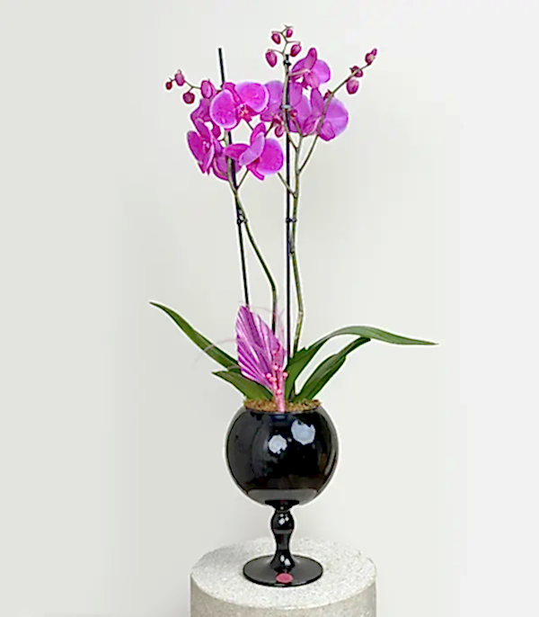 Deluxe Ayaklı Siyah Vazoda Fuşya Orkide