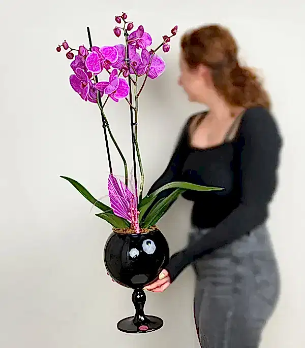 Deluxe Ayaklı Siyah Vazoda Fuşya Orkide