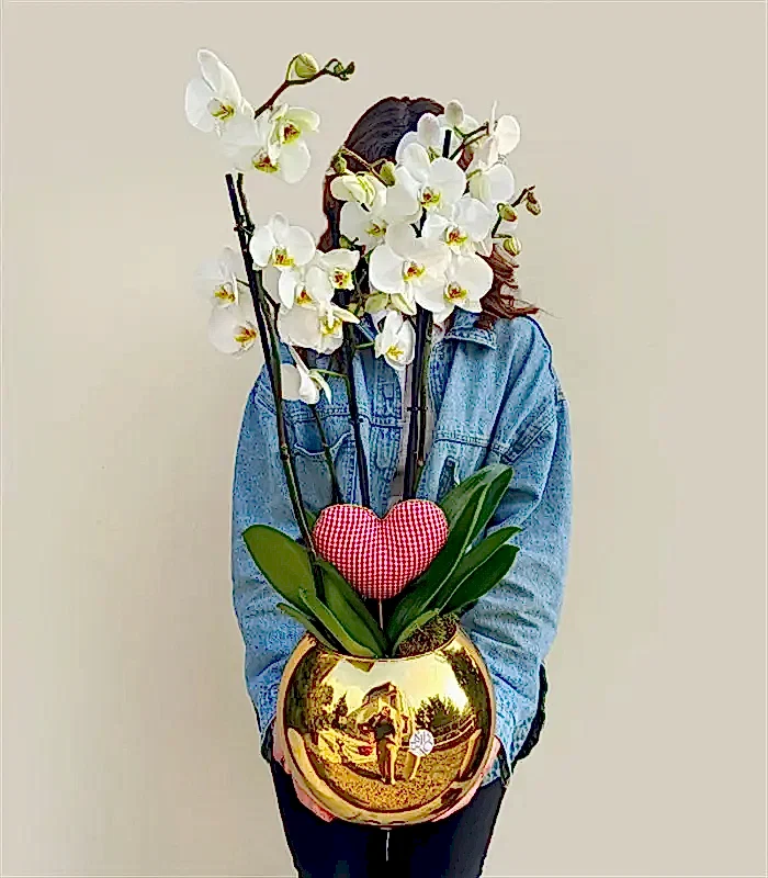 Deluxe Gold Vazoda Kalp Figürlü 4 Dal Beyaz Orkide