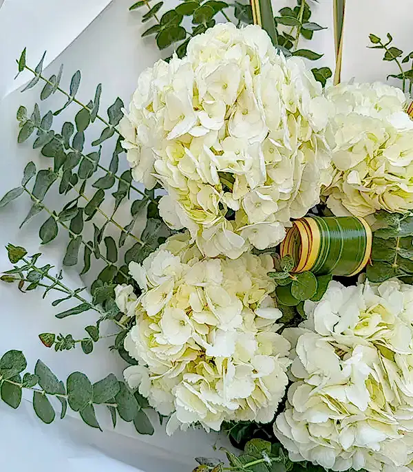 Deluxe Snowlace Beyaz Ortanca Buketi