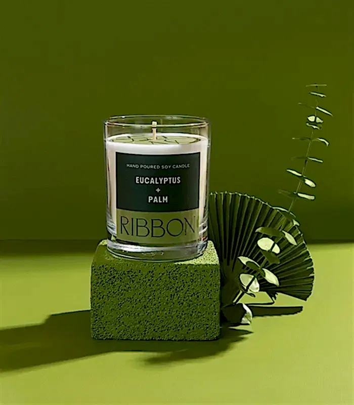 Eucalyptus + Palm Mum Kuru Çiçek Çantalı Hediye Seti