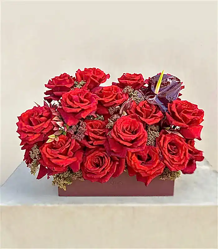 Euphoria Bordo Deri Kutu Kırmızı Gül Aranjmanı