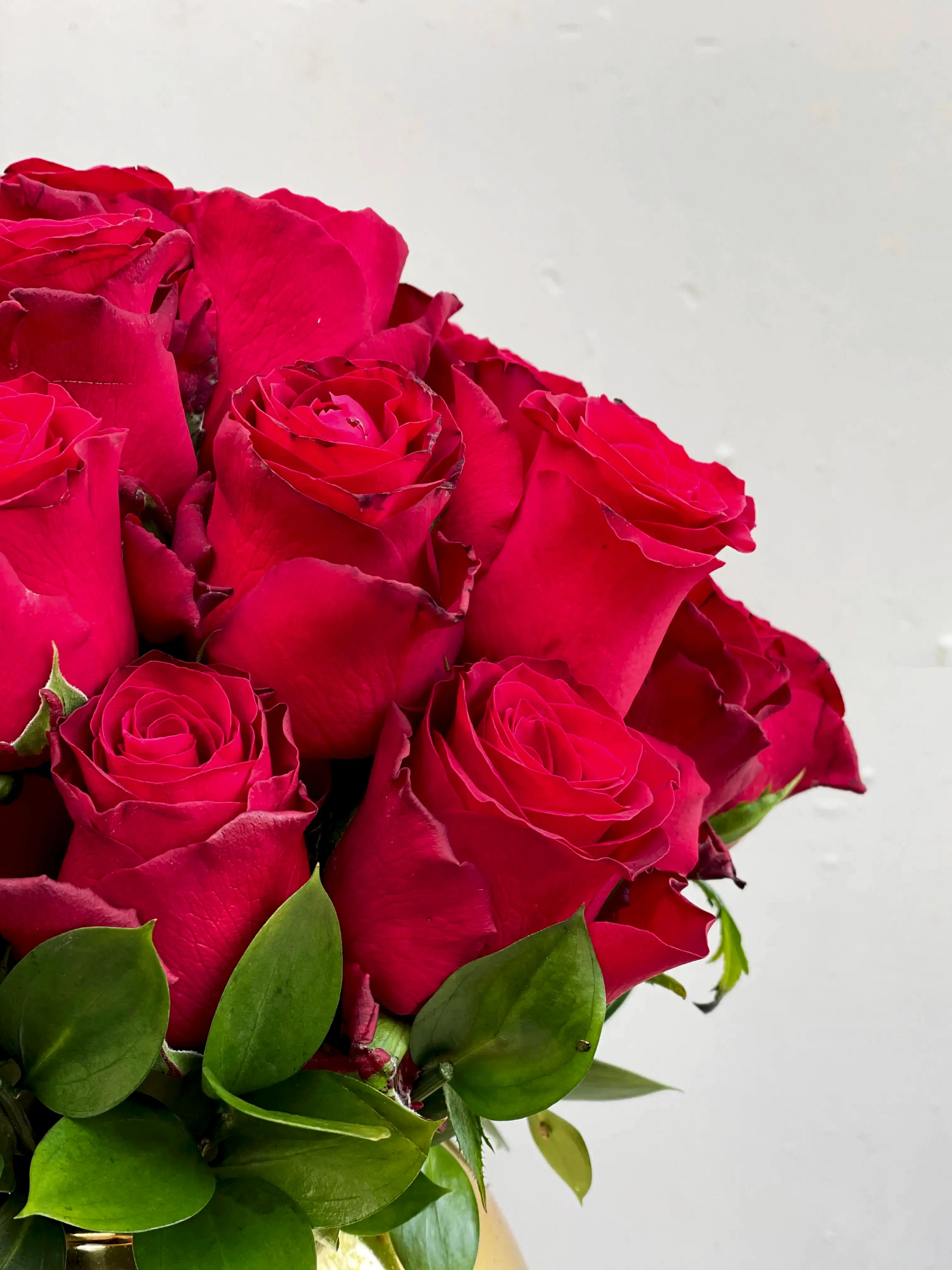 Gold Vazoda 25 Kırmızı Güller Ekvator Gülü