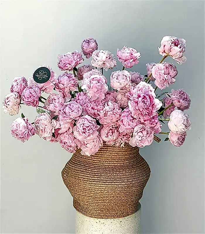 Grand Deluxe Sepette 50 Pembe Şakayık Aranjmanı