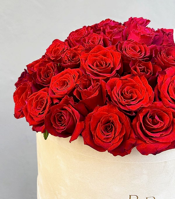 Jade Krem Grand Kutuda 50 Kırmızı Güller