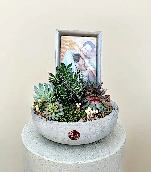 Kişiye Özel Fotoğraf Çerçeveli Sukulent Bahçesi