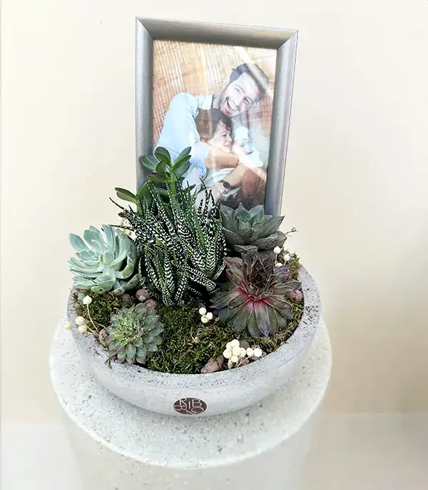 Kişiye Özel Fotoğraf Çerçeveli Sukulent Bahçesi