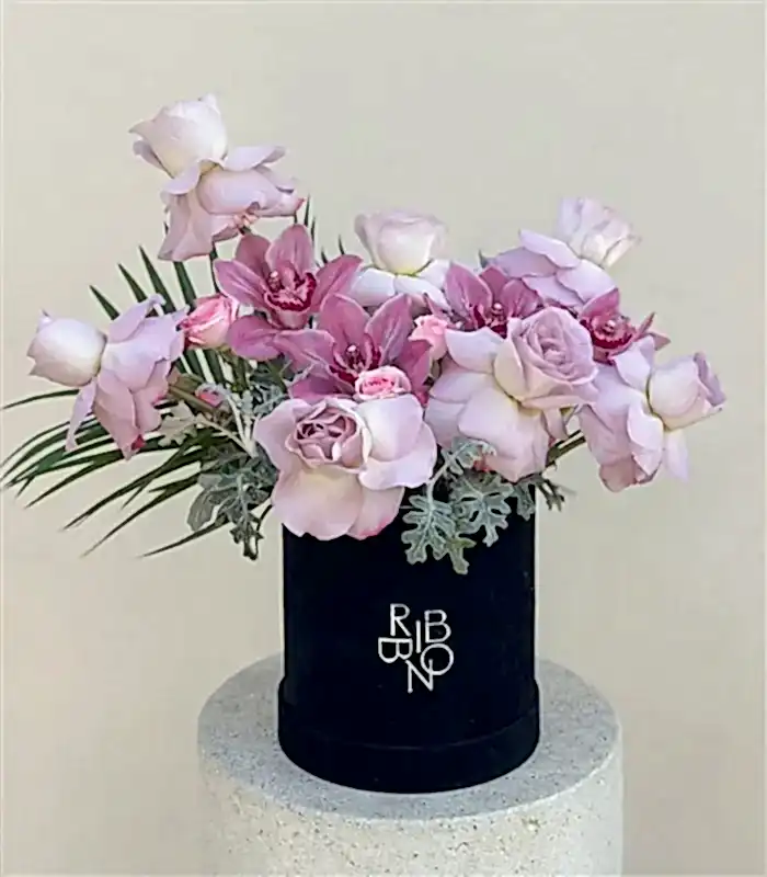 Lily Siyah Kadife Kutu Lila Güller Cymbidium Orkide Aranjmanı