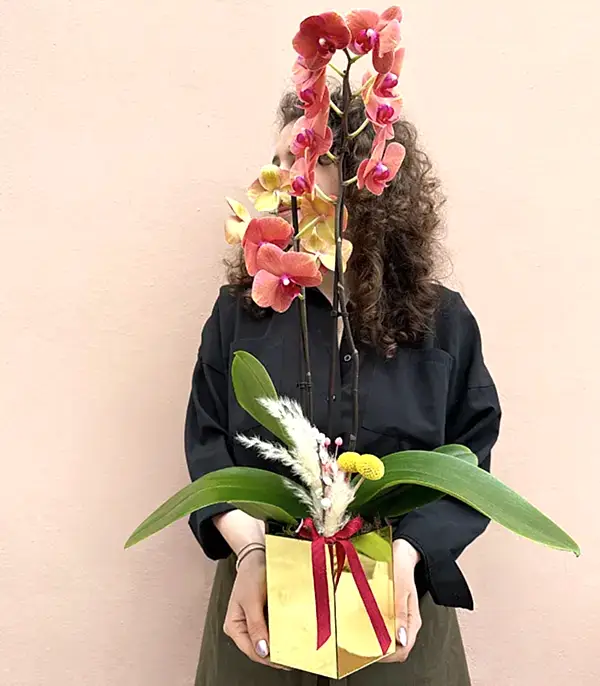 Luxe Gold Altıgen Vazoda Orkide Narçiçeği