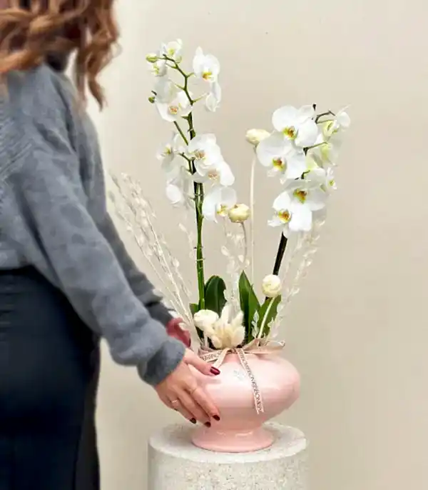 Luxe Pudra Seramik Vazoda Beyaz Orkide