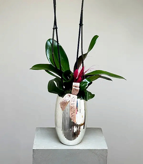 Luxe Silver Ayna Efektli Uzun Vazoda Fuşya Orkide