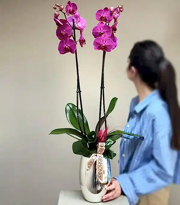 Luxe Silver Ayna Efektli Uzun Vazoda Fuşya Orkide