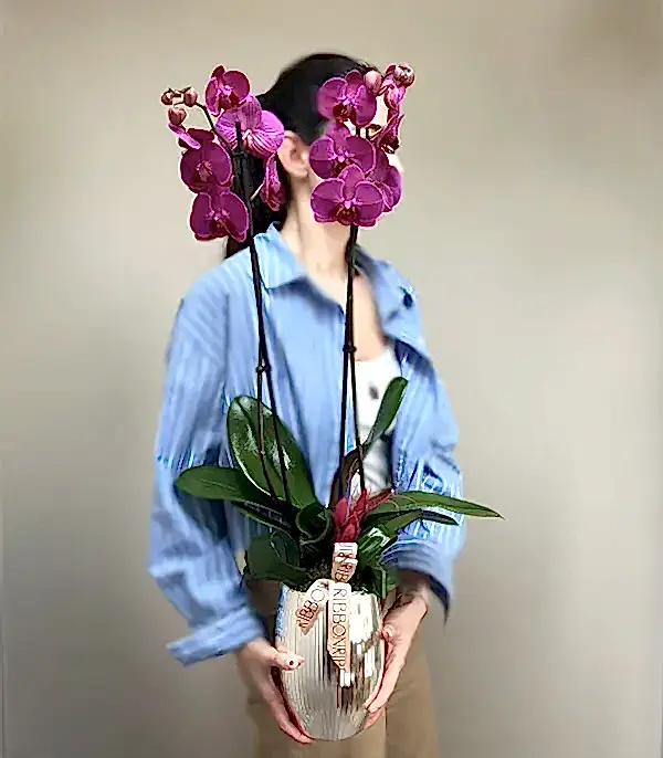 Luxe Silver Ayna Efektli Uzun Vazoda Fuşya Orkide