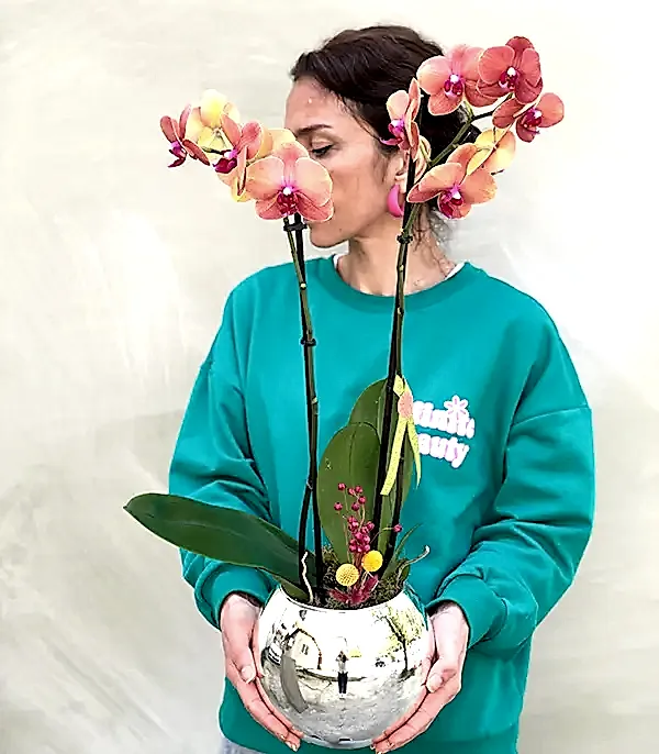 Luxe Silver Vazoda Orkide Narçiçeği