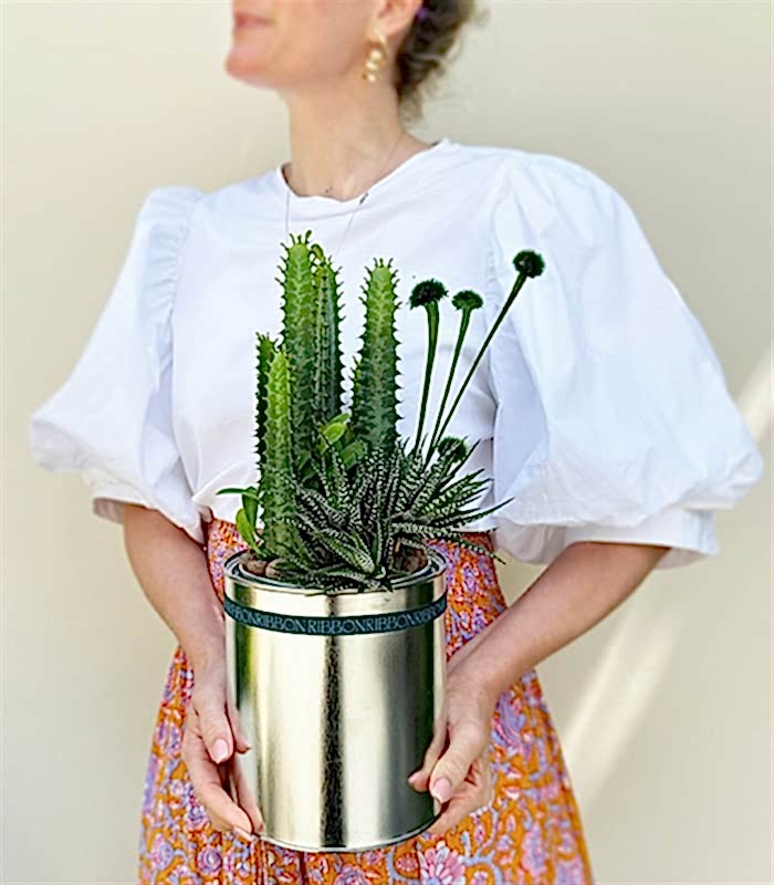 Metal Vazoda Süt Ağacı Kaktüs Sukulent