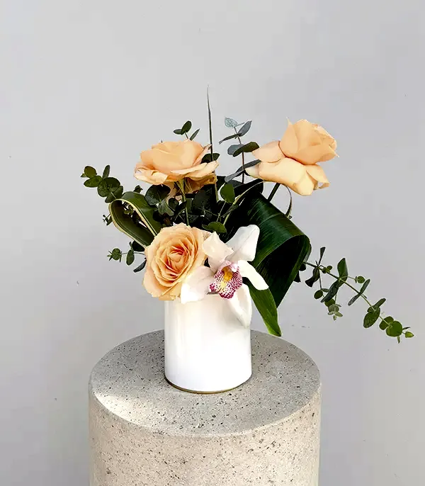 Mini Kayısı Gül Orkide Aranjmanı