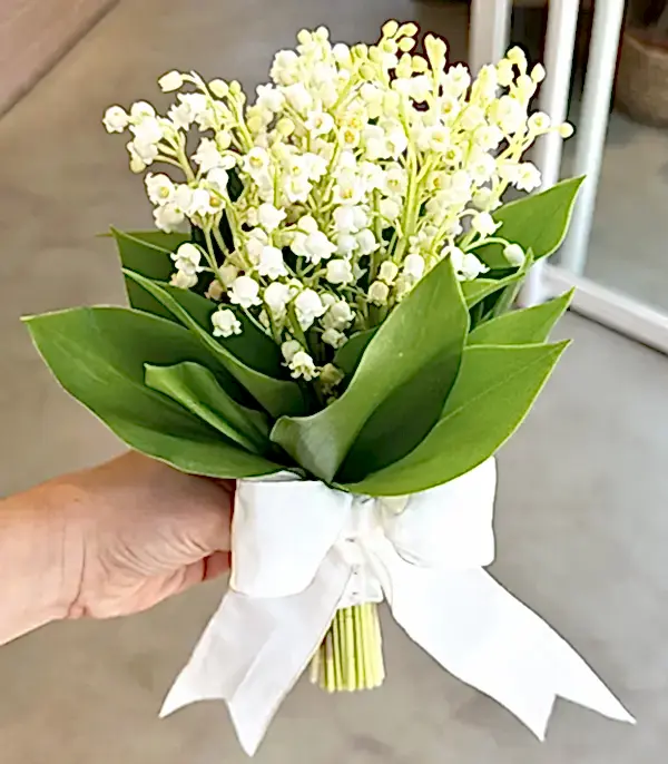 Müge Çiçeği Gelin Buketi