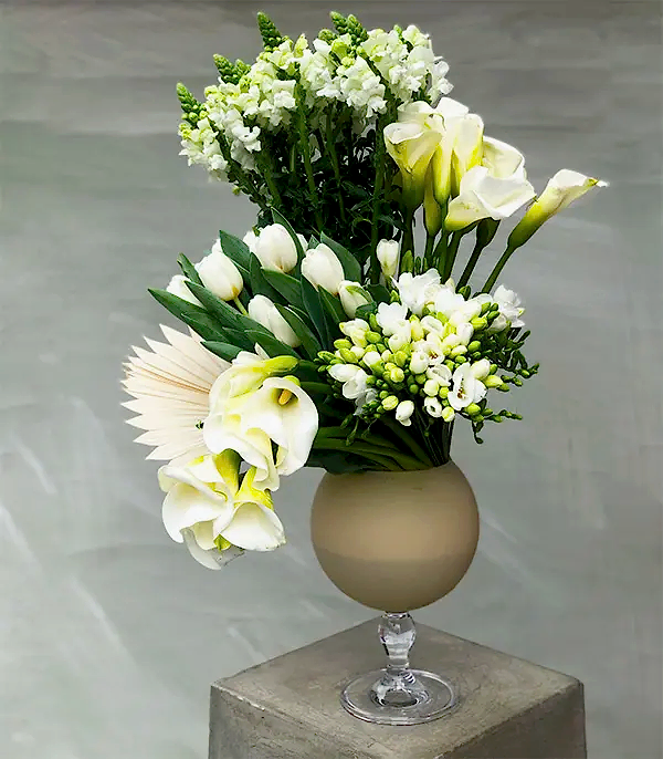 Nicole Kidman Grand Deluxe Vazoda Beyaz Gala Beyaz Lale Aranjman