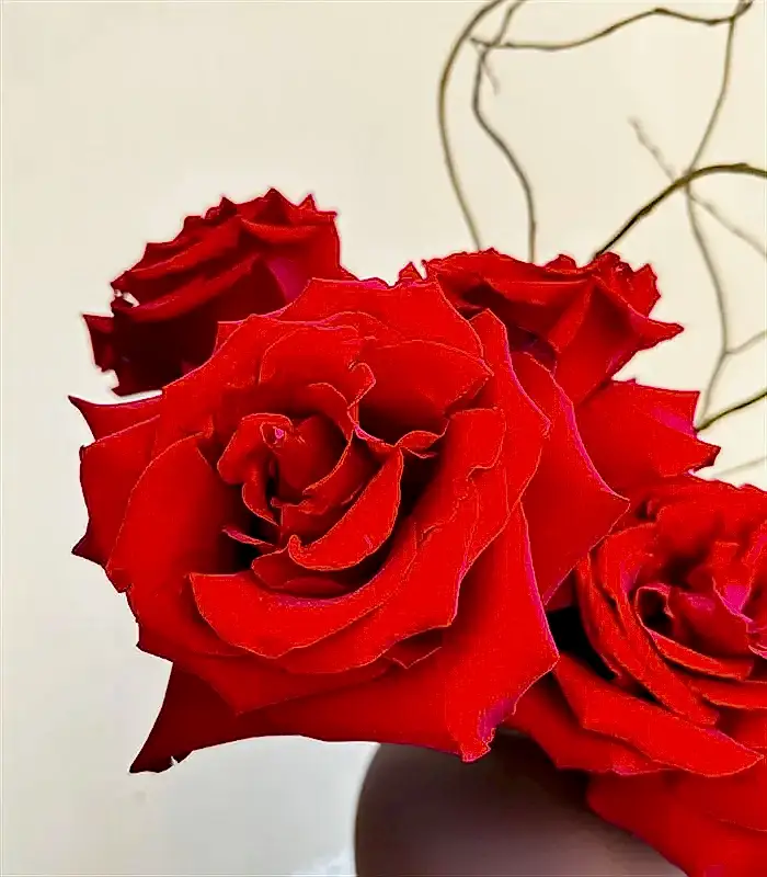 Oui Oui Kahverengi Seramik Vazoda Kırmızı Gül Aranjmanı