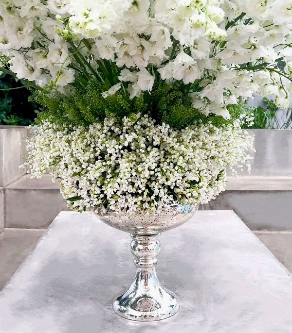 Panoramik 1000 Müge Çiçeği 100 Delfinyum Empire Deluxe Aranjman