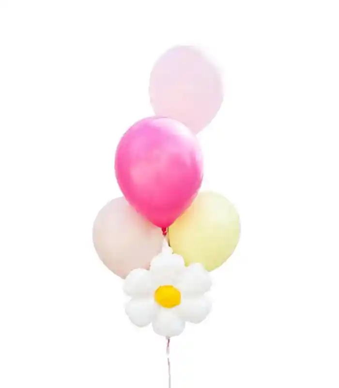 Papatya Pastel 4 Uçan Balon Seti Pembe