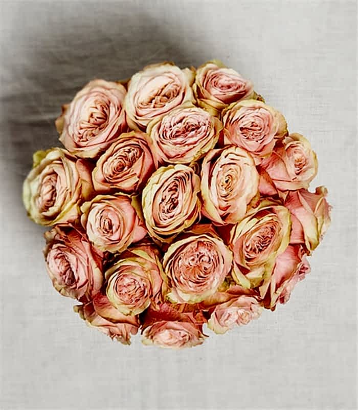 Renata Gri Deluxe Kutuda 20 Somon Gül Aranjmanı