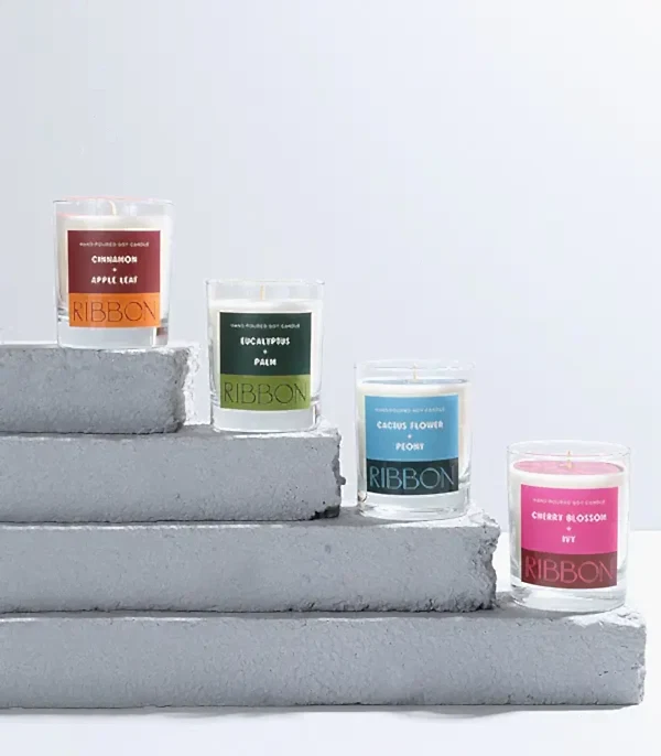 RIBBON Color Series Cam Mum Kuru Çiçek Çantalı Hediye Seti 4Lü