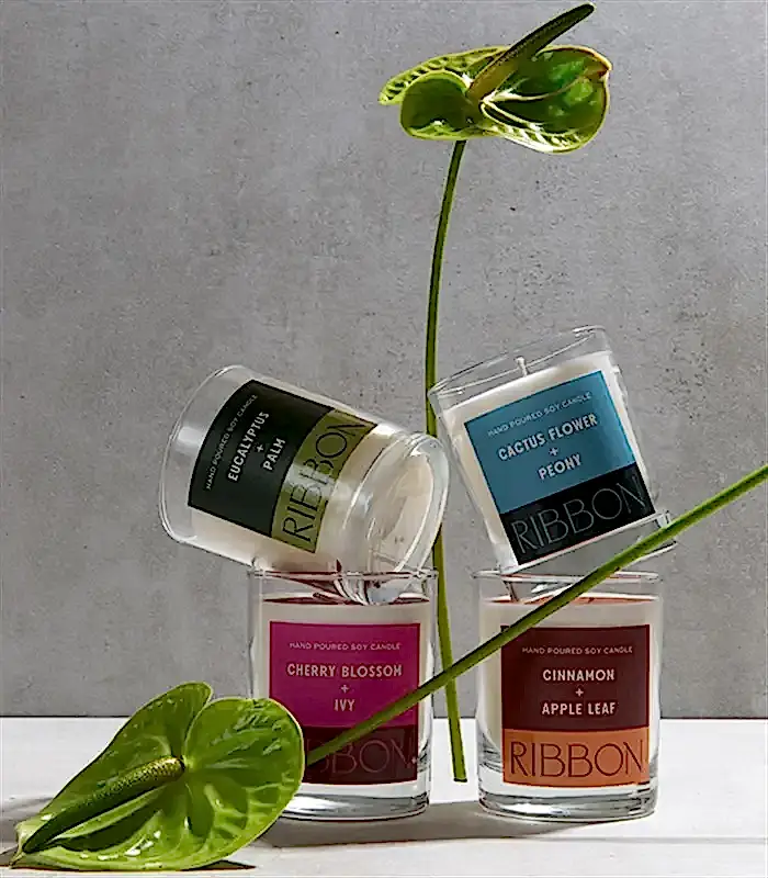 RIBBON Color Series Cam Mum Seti 4Lü