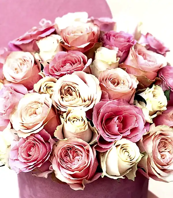 Rosaline Deluxe Pembe Somon Kutuda Güller