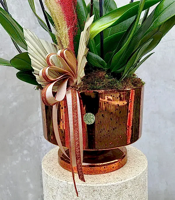 Royal Deluxe Eskitme Saksı 8 Dallı Orkide Narçiçeği