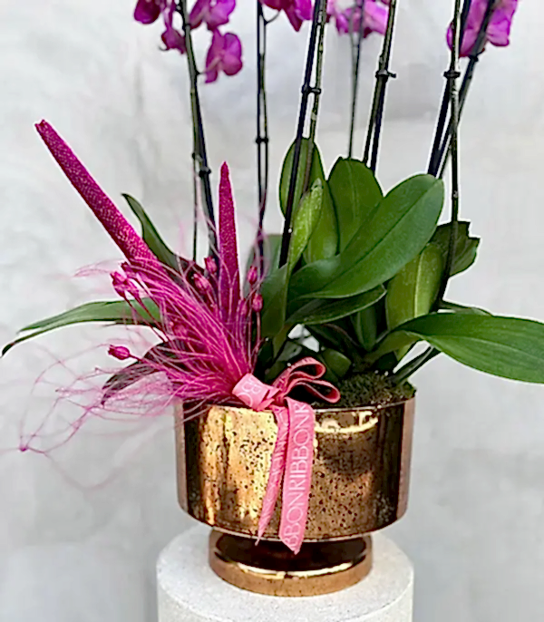Royal Deluxe Gold Saksı 8 Dallı Orkide Fuşya