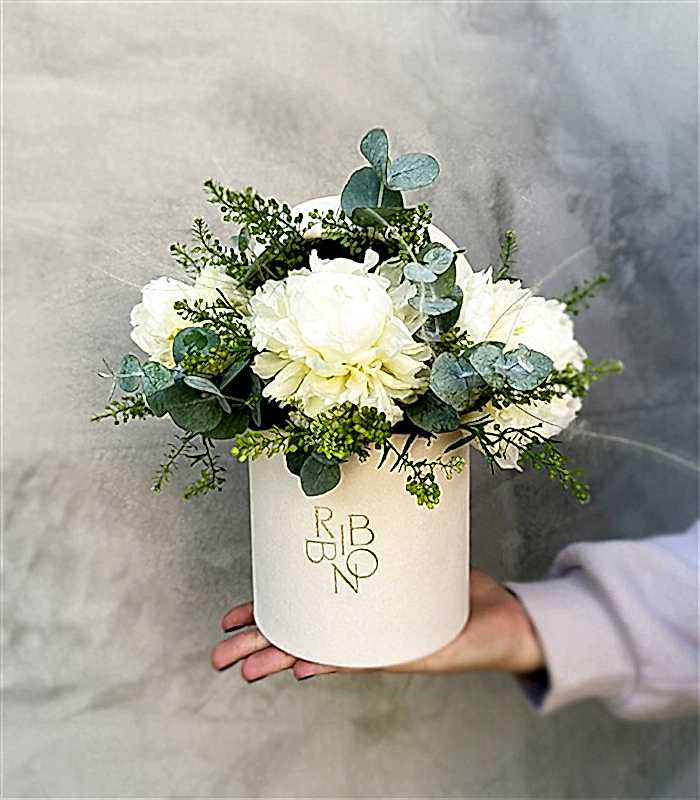 Senfoni Mini Krem Kutuda Beyaz Şakayık