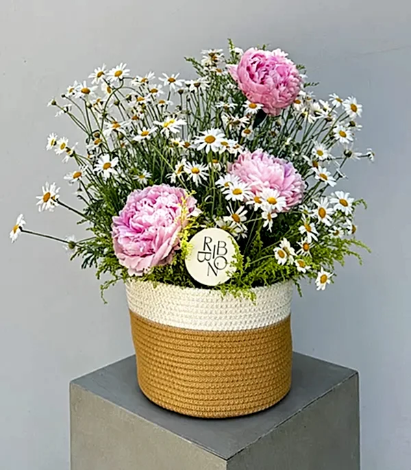 Sepette Papatyalar Pembe Şakayık Yaz Aranjmanı