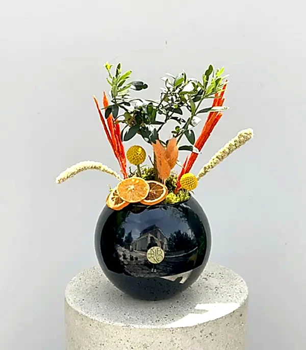 Siyah Cam Vazoda Zeytin Ağacı