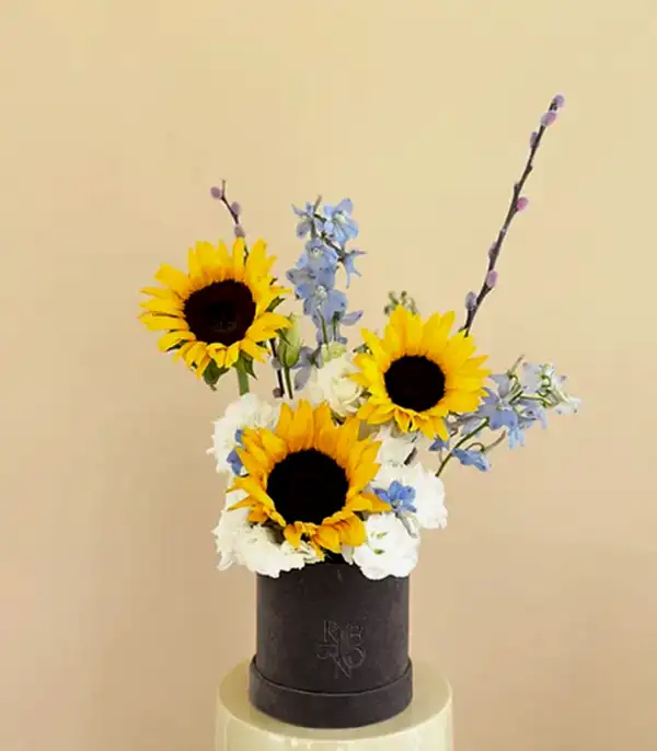 Sky Kissed Sun Gri Mini Kutuda Ayçiçeği Delfinyum Aranjmanı