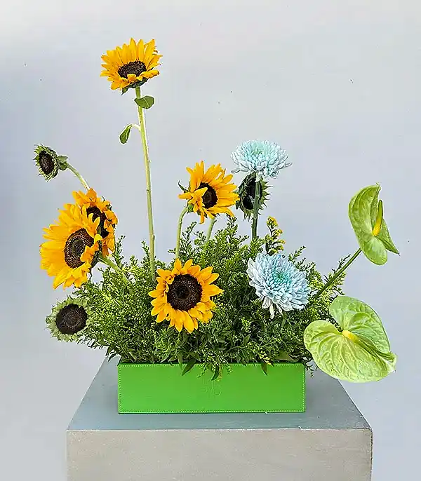Sunbeam Yeşil Deri Kutuda Ayçiçeği Anastasya Aranjmanı