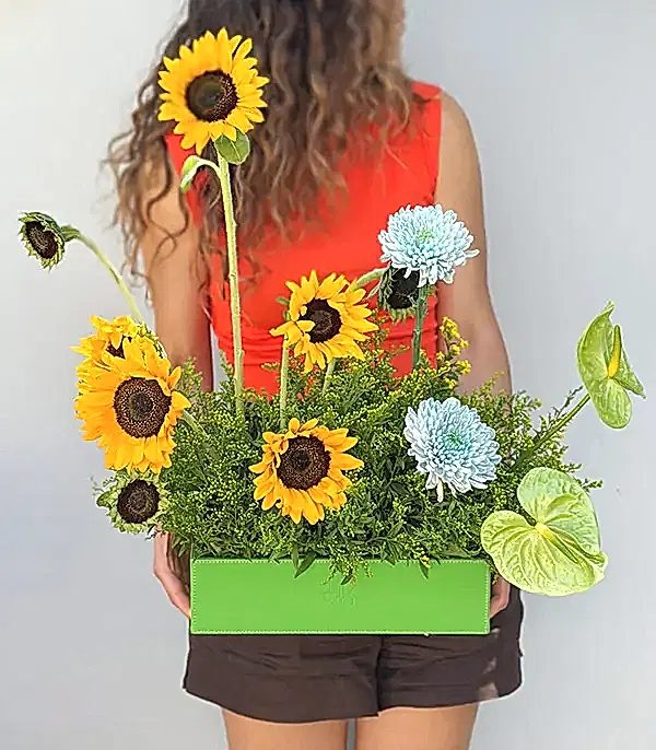 Sunbeam Yeşil Deri Kutuda Ayçiçeği Anastasya Aranjmanı